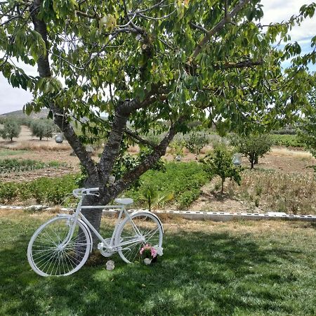 Casa Rural Huerta Los Canos Bienvenida المظهر الخارجي الصورة